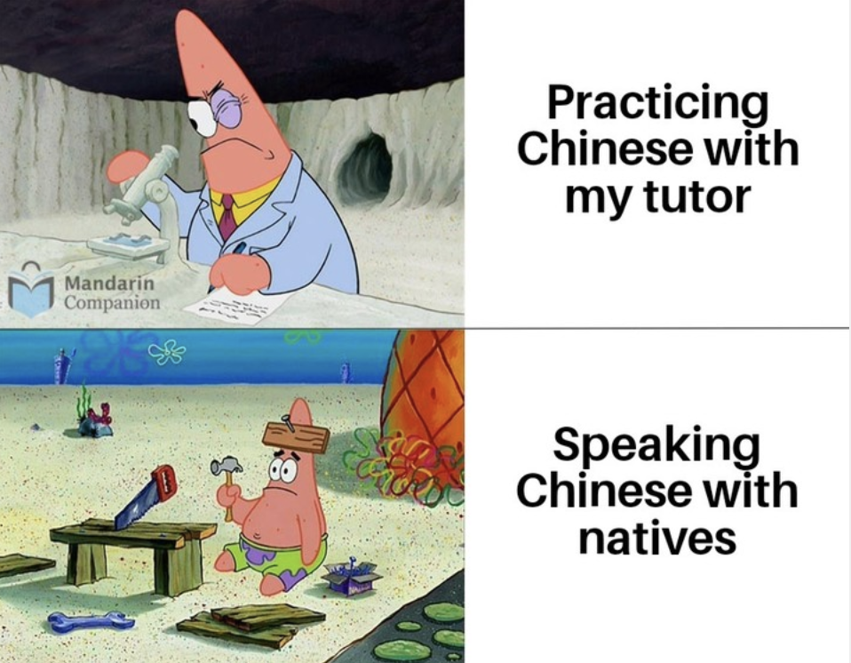 chinese tutor meme mandarin companion