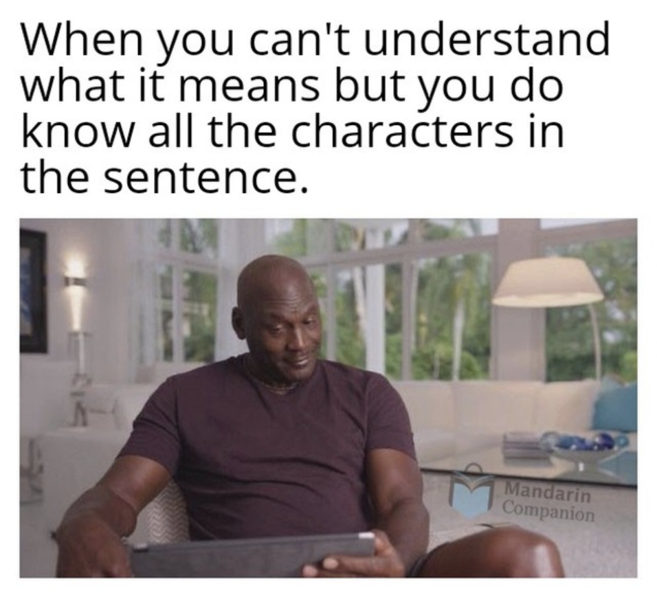 mandarin companion meme chinese