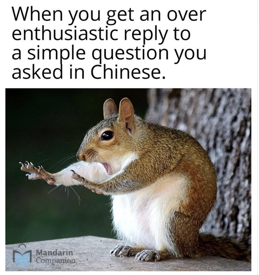 mandarin companion chinese meme